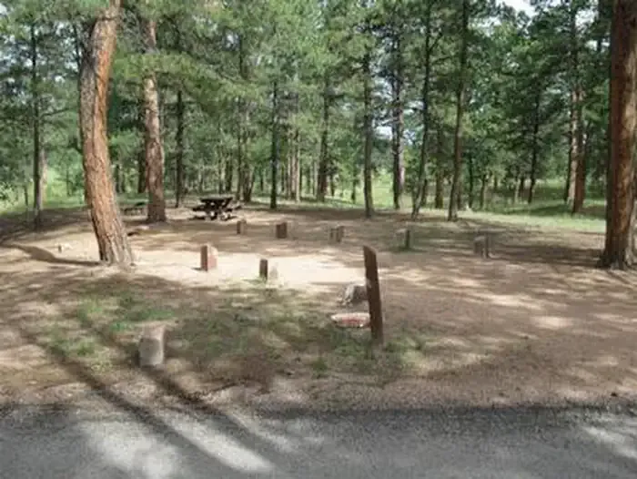 South Meadows - Pike San Isabel NF (CO)