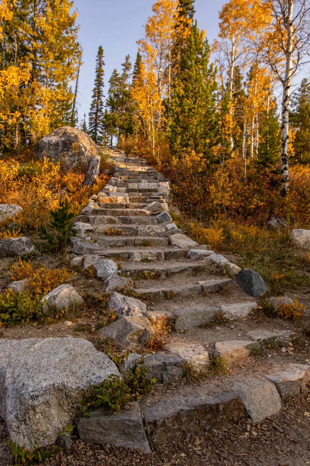 Aspen Knoll