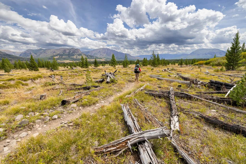 Bridger Lake Trailhead (6K4)