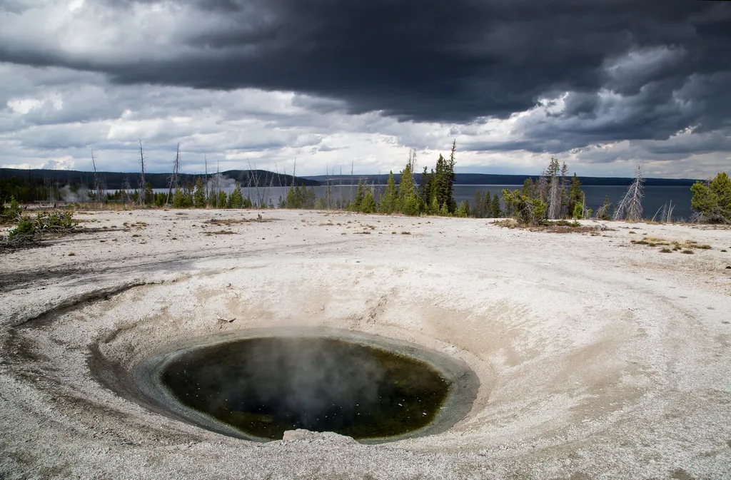 Blue Funnel Spring