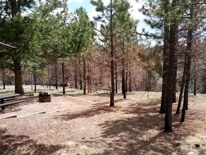 THUNDER RIDGE