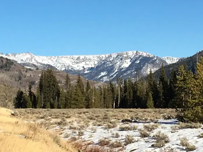 Seedhouse Group Site - Medicine-Bow Routt NF (CO)