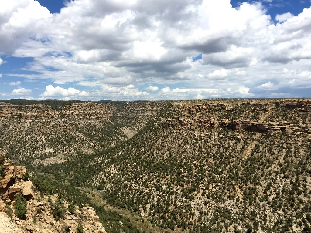 Spruce Canyon Trail