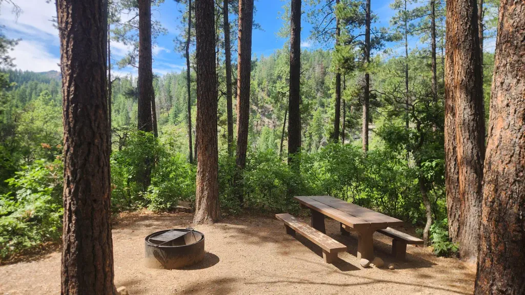 JUNCTION CREEK CAMPGROUND