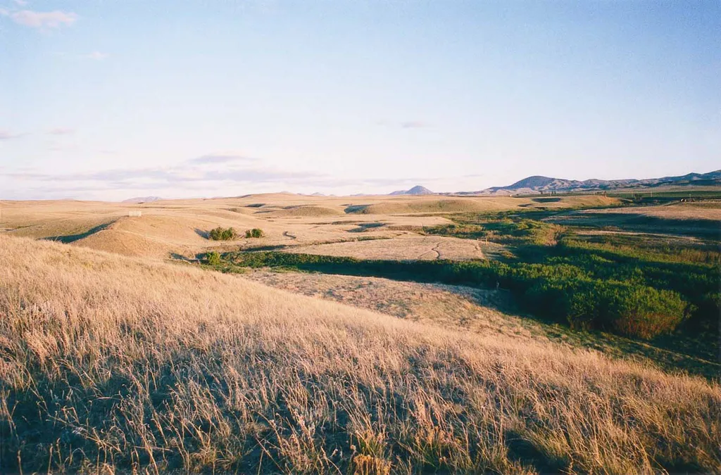 Bear Paw Battlefield