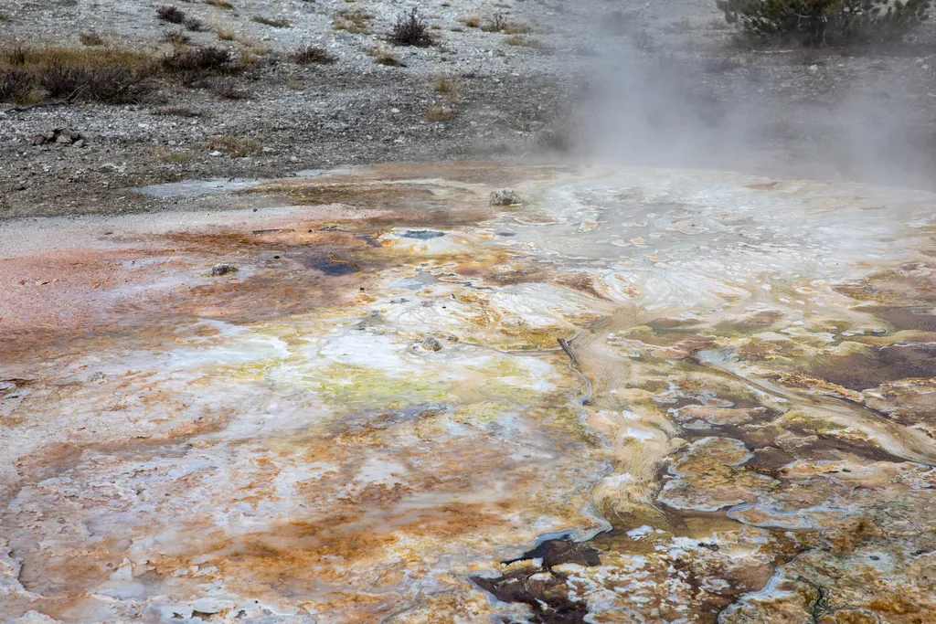 Prospect Spring