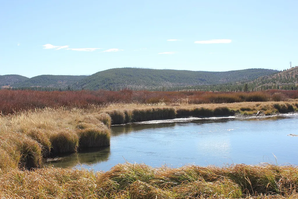 Apollinaris Spring Picnic Area