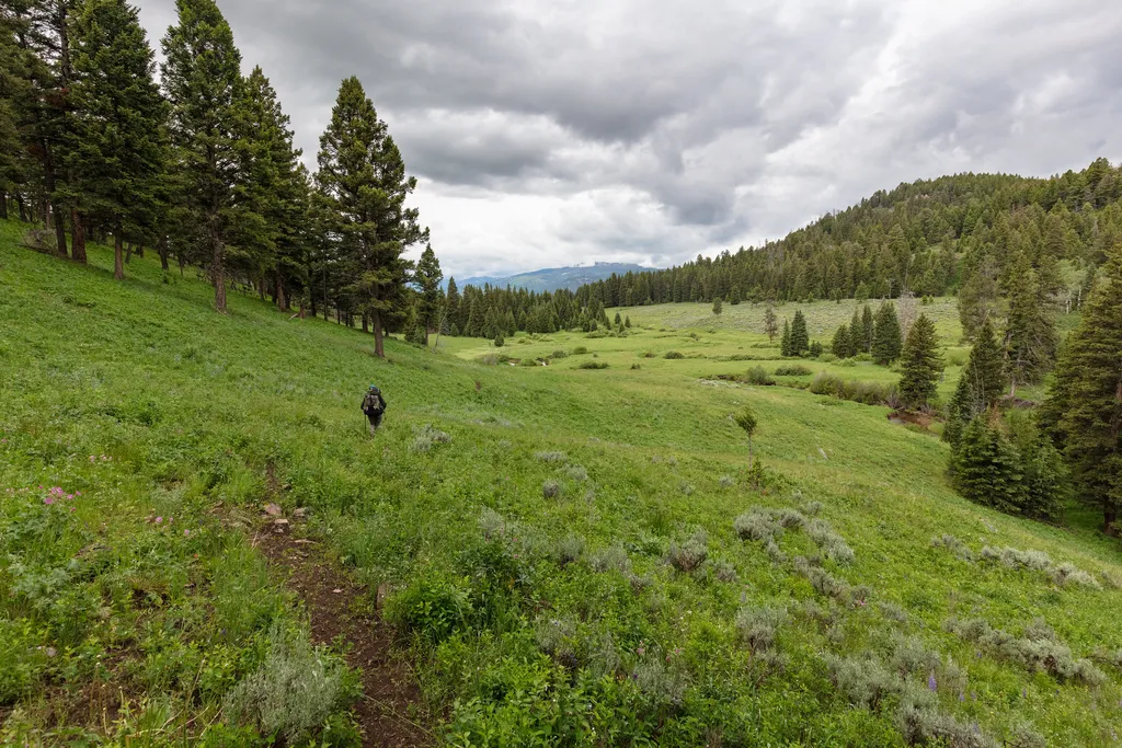 Coyote Creek Trailhead (2N1)