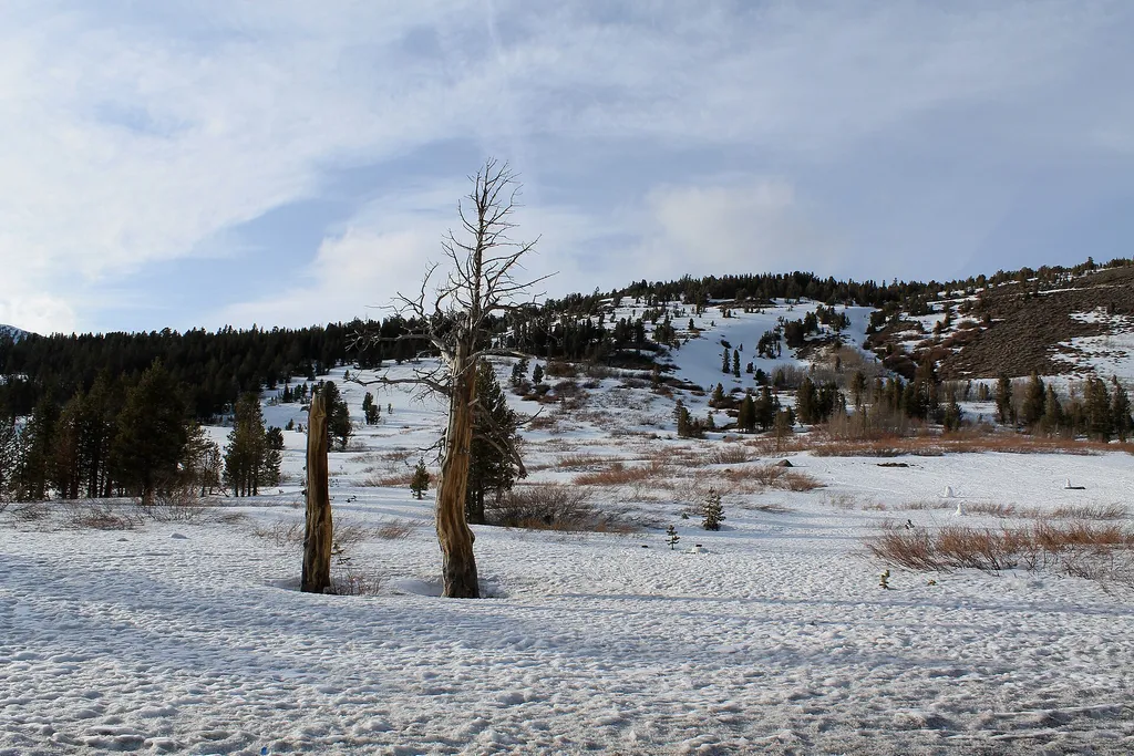 Gray Lake Trail (Mt. Rose)